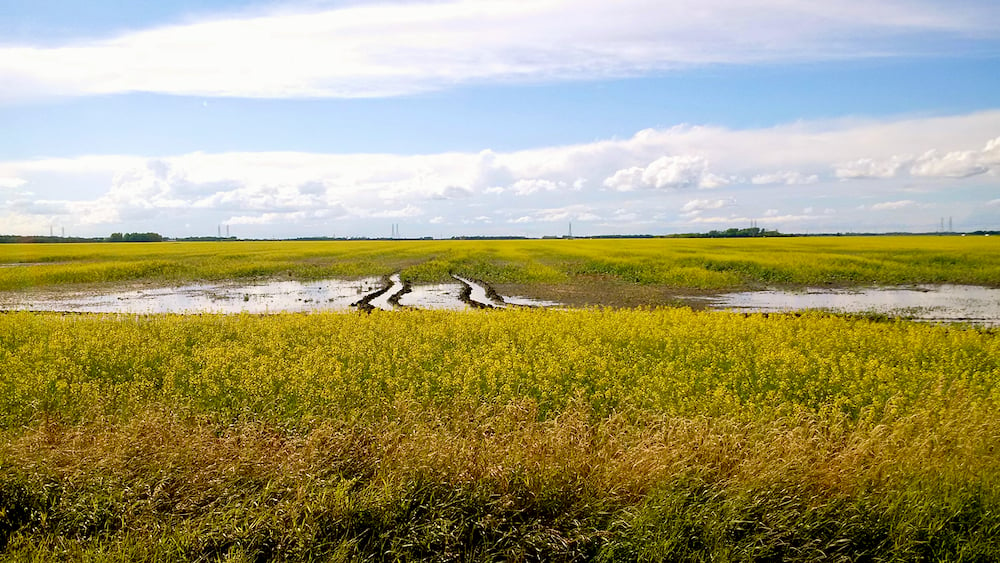 While it’s not surprising that more rain means wetter soil, new research challenges a long-standing assumption that increases in global temperatures will lead to drier soils.