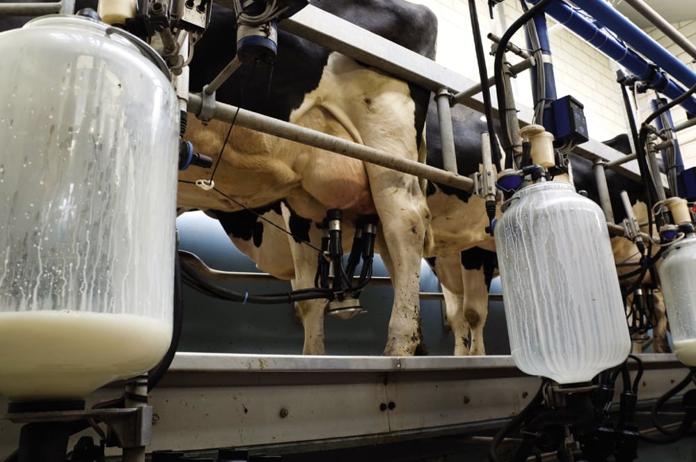 U.S. FDA says milk is safe despite bird flu virus presence