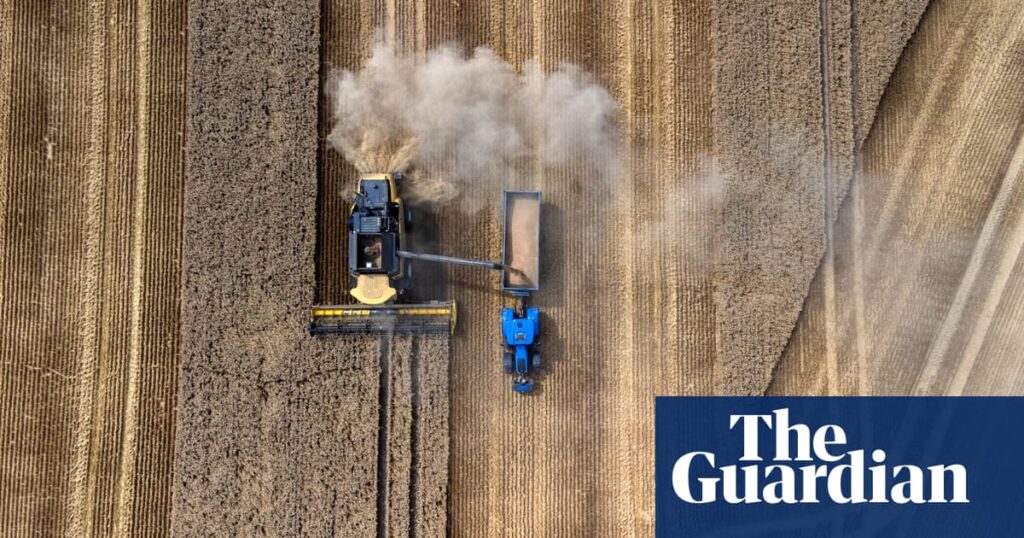 Farmers warn ‘crisis is building’ as record rainfall drastically reduces UK food production | Farming