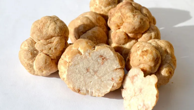 Ingredients in Focus: Honey truffle sweetener