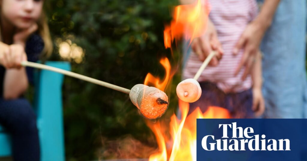 Judges reject HMRC appeal and rule firm’s marshmallows are not sweets | Food & drink industry