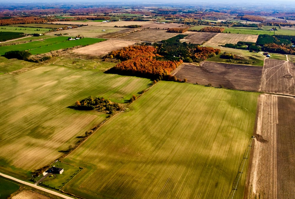 Renting land better than buying for cash flow: FCC