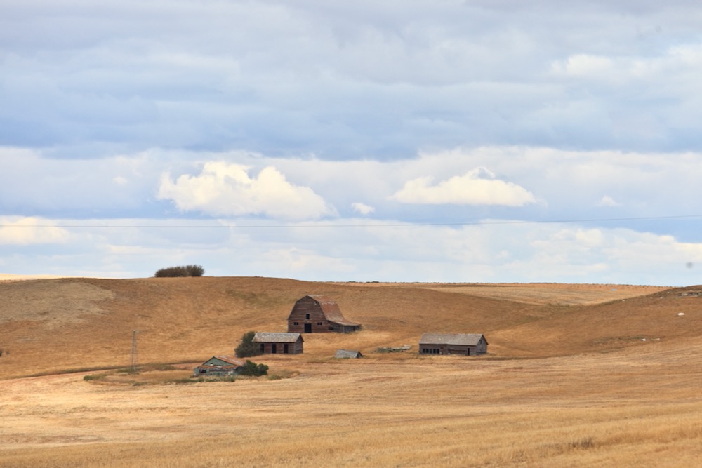 Renting land better than buying for cash flow: FCC