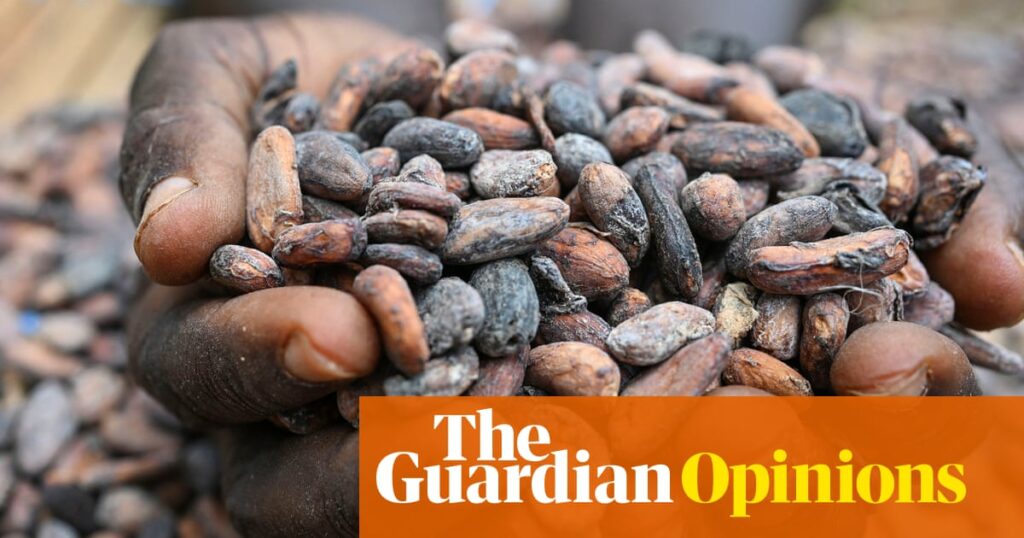 The Guardian view on the price of chocolate: cocoa producers face bitter truths | Editorial