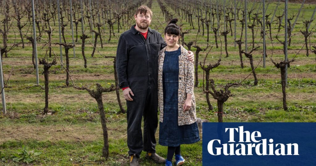 ‘It’s a sun trap’: climate crisis brings boomtime for British wine | Food & drink industry