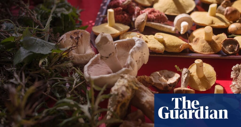 Functional fungi: UK embraces mushroom coffee as latest ‘healthy’ food trend | Food & drink industry