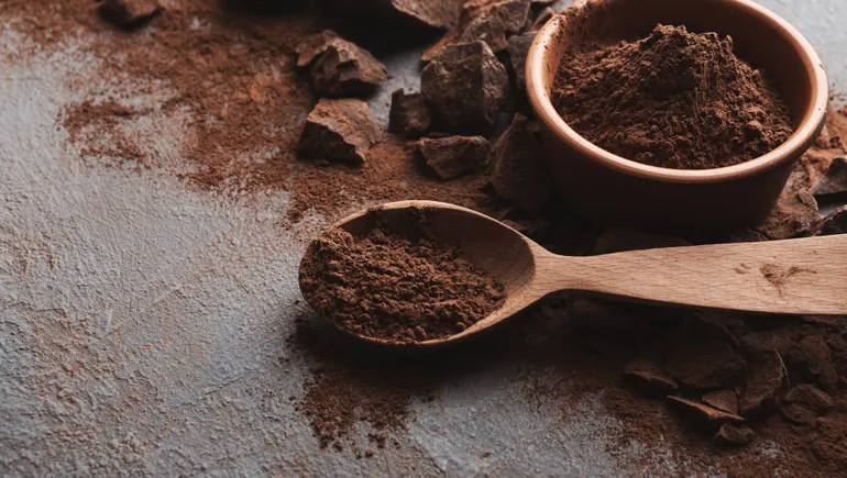 4 startups taking the cocoa out of chocolate