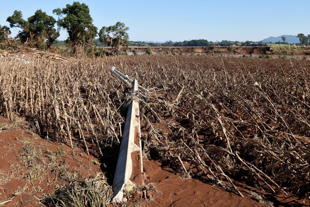 Brazil floods hit food silos, disrupt routes to major grains port