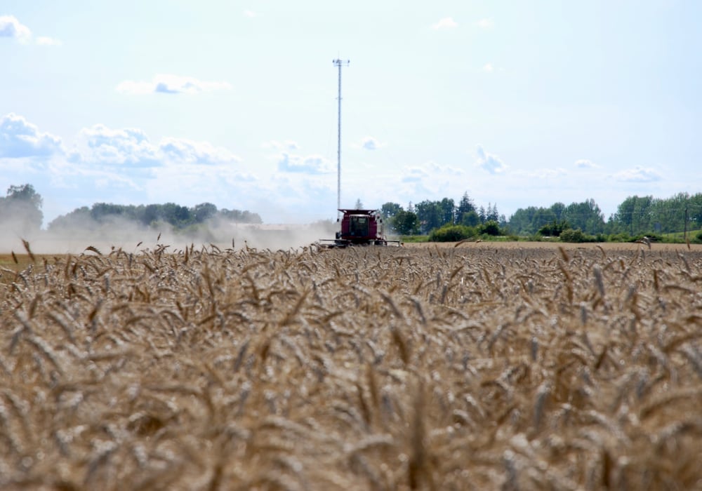 Better communications between growers, seed dealers, agronomists and the grain trade will do more to secure a stable production level of hard red wheat.