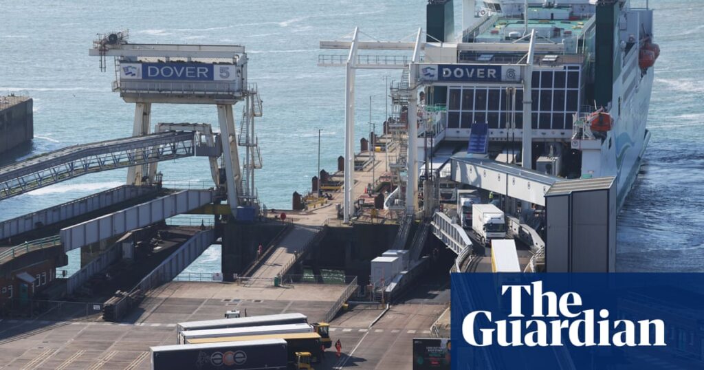 Brexit border IT outages delay import of perishable items to UK by up to 20 hours | International trade