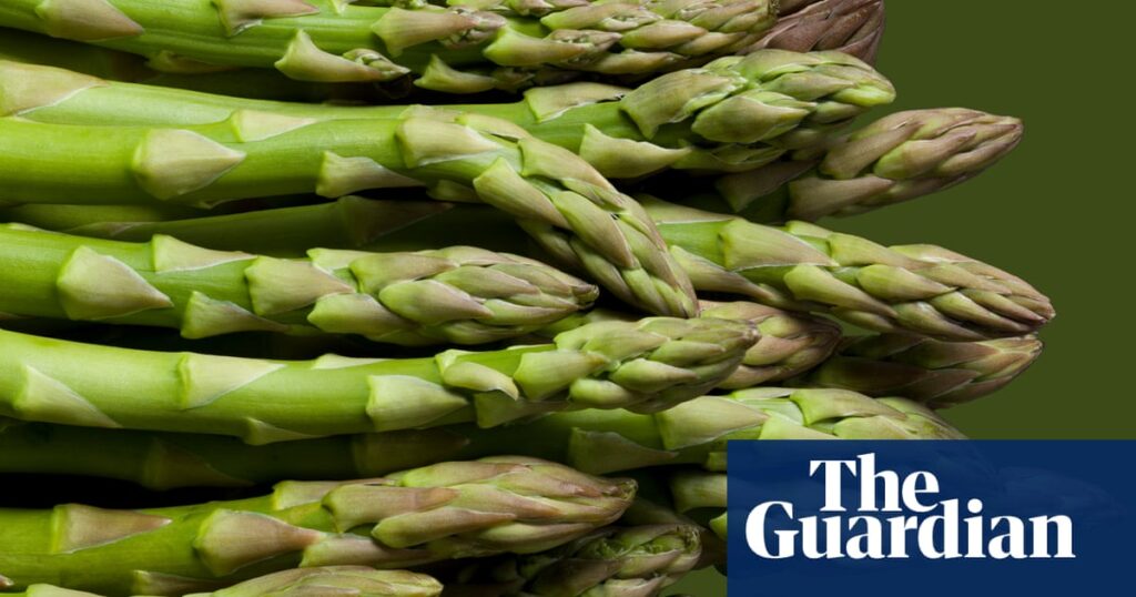 British asparagus back in supermarkets after criticism over imports | Food & drink industry