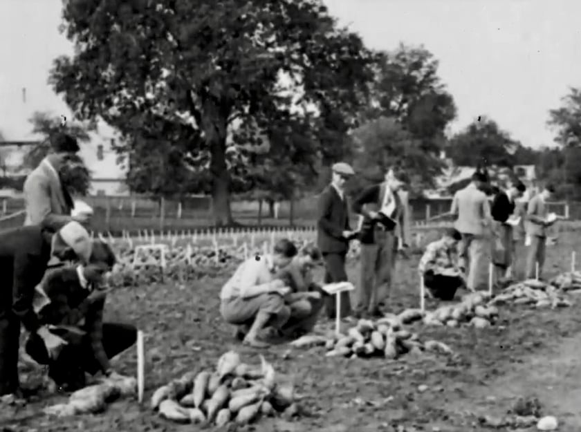 Ontario Agriculture College students on a plot tour in the late 1920s.