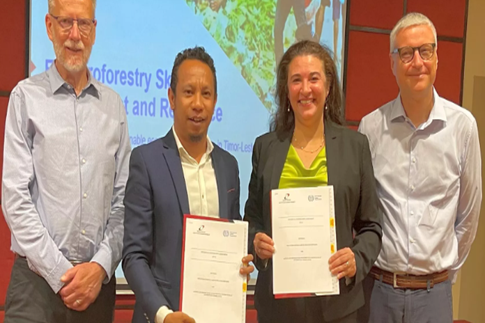 EU - ILO and TradeInvest Timor-Leste join forces to develop and expand coconut business opportunities in Timor-Leste