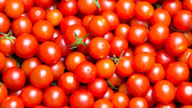 Ingredients in Focus: Supplier uses tomatoes to boost flavor and simplify ingredients list