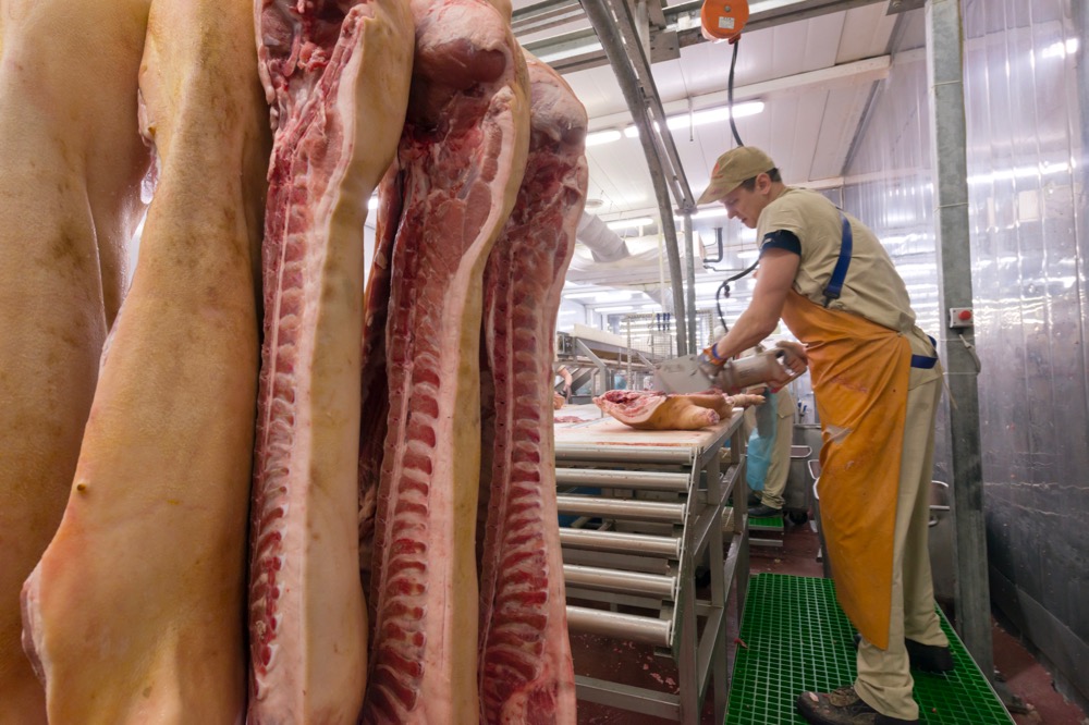 Meat industry calls on federal gov to ease foreign worker limits