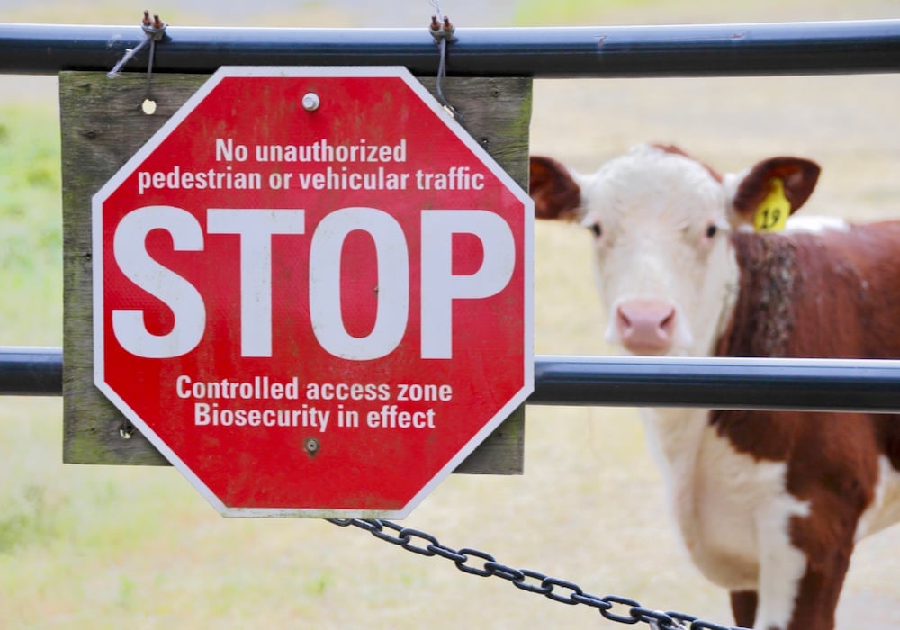 cow and trespass sign