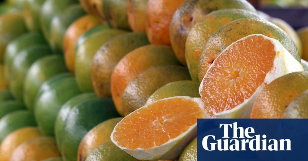 Orange juice makers consider using other fruits after prices go ‘bananas’ | Food & drink industry