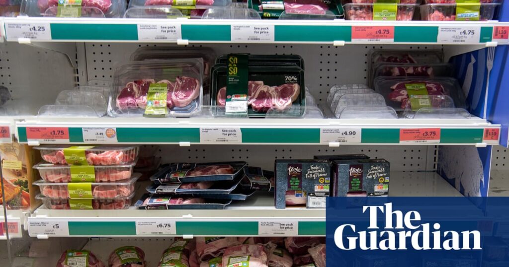 Sharp rise in cost of British lamb in UK due to rising demand and import issues | Food & drink industry