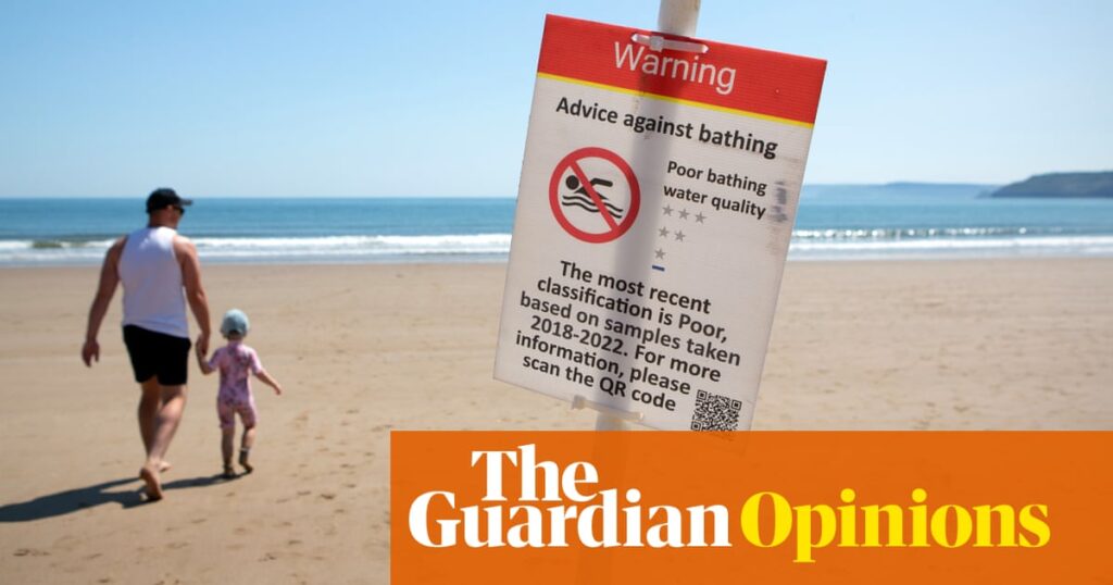 The right’s Brexit ‘bonfire of red tape’ was just wind and smoke. And even Tories want more regulation now | Polly Toynbee