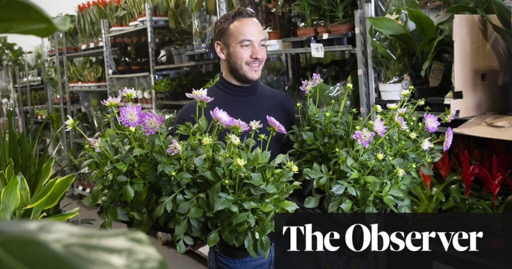 UK flower industry thrown into chaos by new Brexit border checks | Brexit