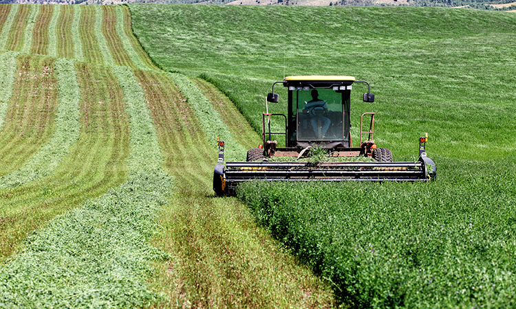 USDA allocates $300 million to diversify US agriculture export markets