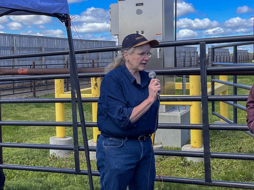 Dr. Cheryl Waldner presents current feedlot health and nutrition research during the Livestock and Forage Centre of Excellence Field Day southeast of Saskatoon, Sask. Waldner is the Beef Cattle Research Council Industrial Research Chair in One Health and Production Limiting Diseases at the University of Saskatchewan’s Western College of Veterinary Medicine. Photo: Melissa Jeffers-Bezan 
