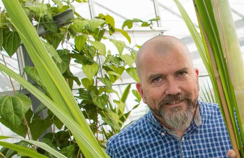 Bezos Earth Fund boost for Welsh food research