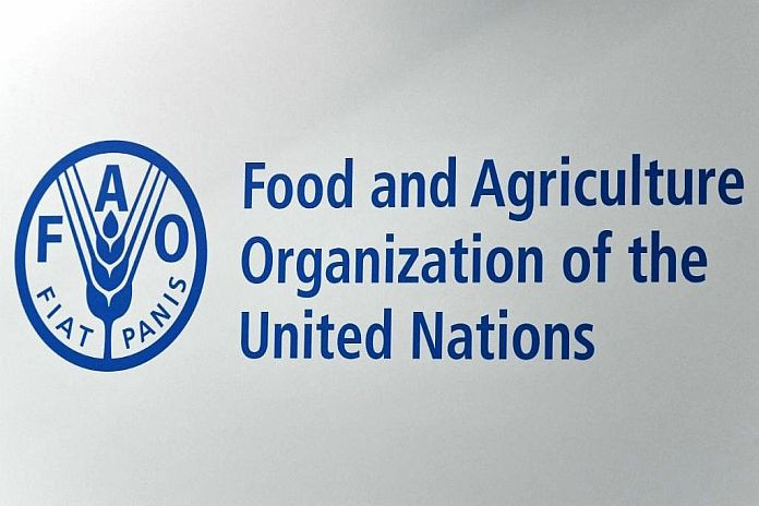 Famine looms in Gaza while risk of starvation persists in Sudan, Haiti, Mali, and South Sudan