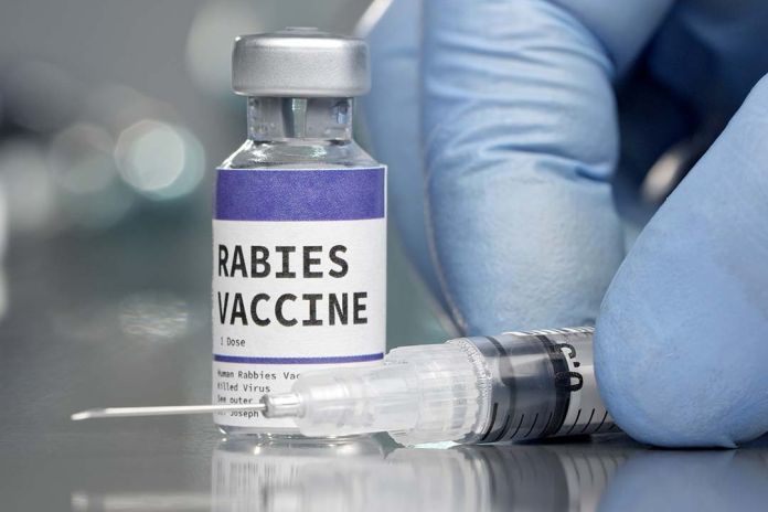 Gavi to boost access to life-saving human rabies vaccines in over 50 countries