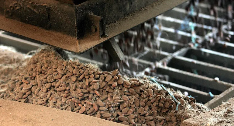 Hershey looks to prioritize sustainable cocoa sourcing