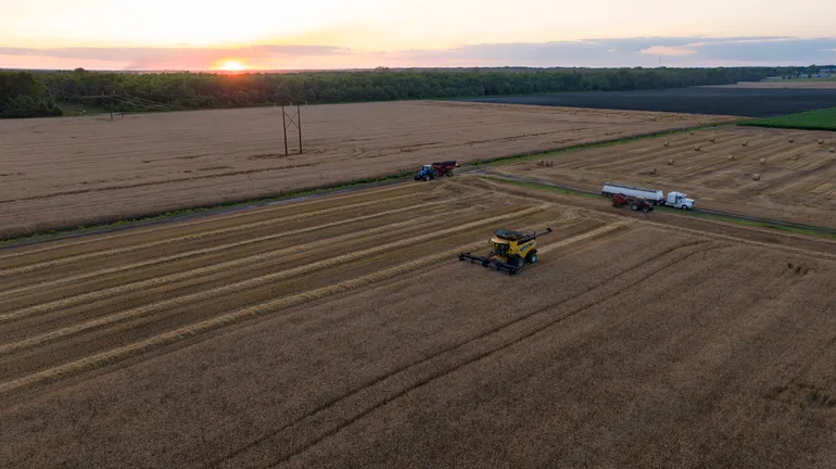 Kellanova to make Cheez-It crackers with regenerative wheat for East Coast grocery stores in unique pilot