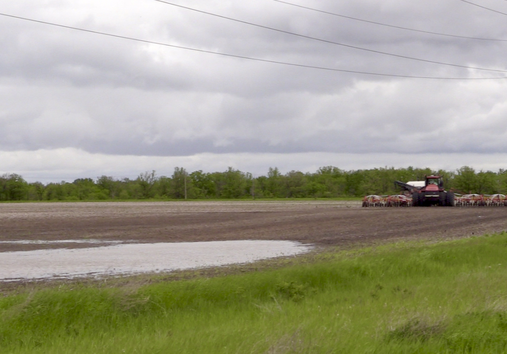 Manitoba seeding nears completion: report