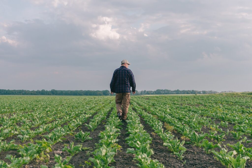 Researchers improve crops using laser beams and 3D printing