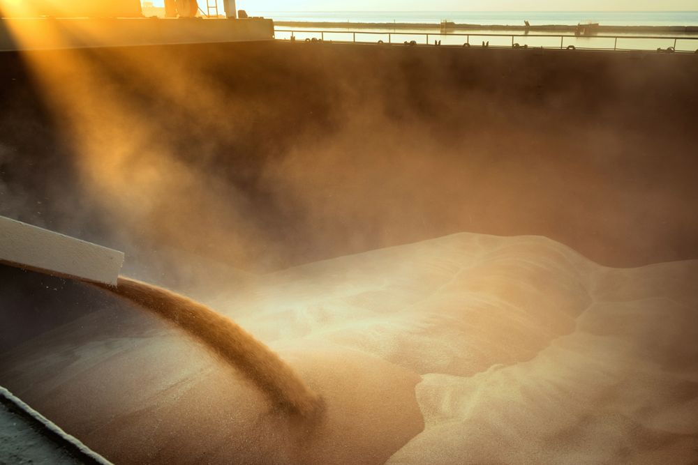 File photo of wheat being loaded onto a bulk vessel at port in Russia. (YGrek/iStock/Getty Images)
