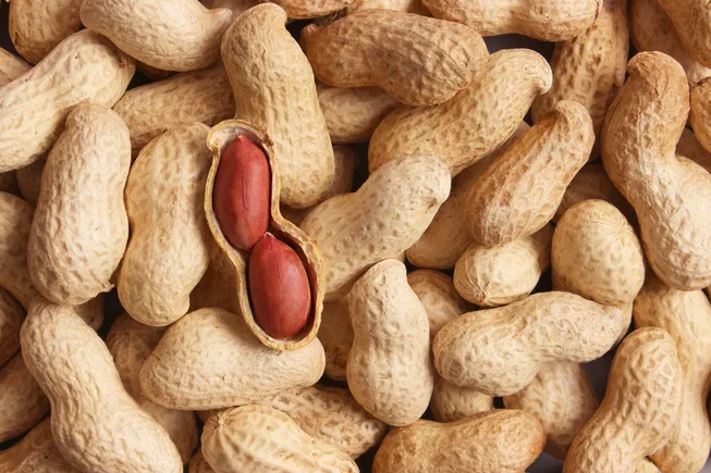 ADM teams with Smuckers for regenerative peanut program