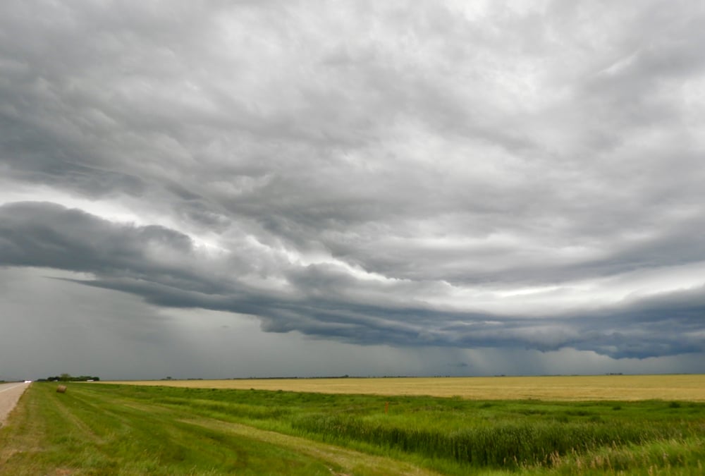 Canada is getting warmer and wetter, mostly in the winter and in the North, says the research lead with Agri-Food Economic Systems.