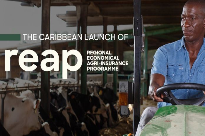 CARICOM’s agri-insurance programme launched to support farmers, fisherfolk