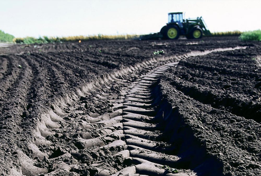 tractor track in soil