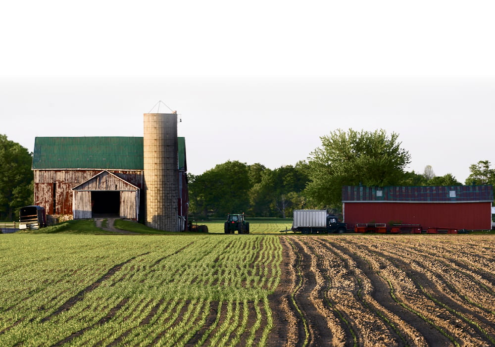 A new Senate report says Canada still has plenty of work to do when it come to preserving its soil health.