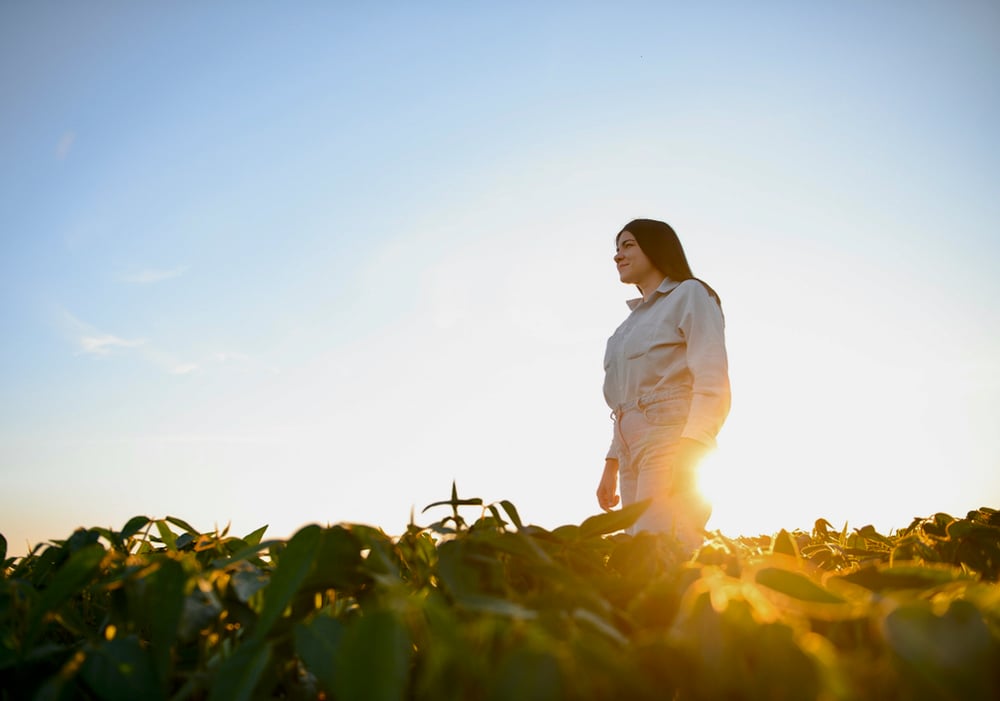 Female farm worker inspecting soy at field summer evening time.