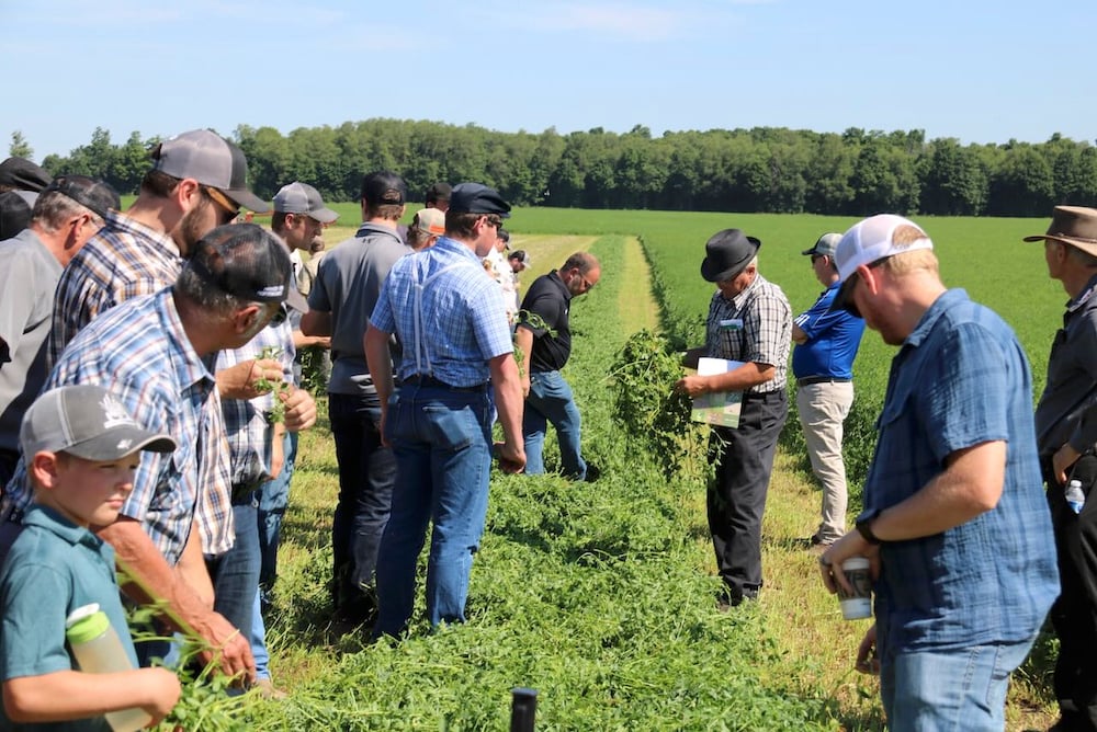 PHOTOS: Ontario Forage Expo offers first-hand look at haying equipment operating in the field