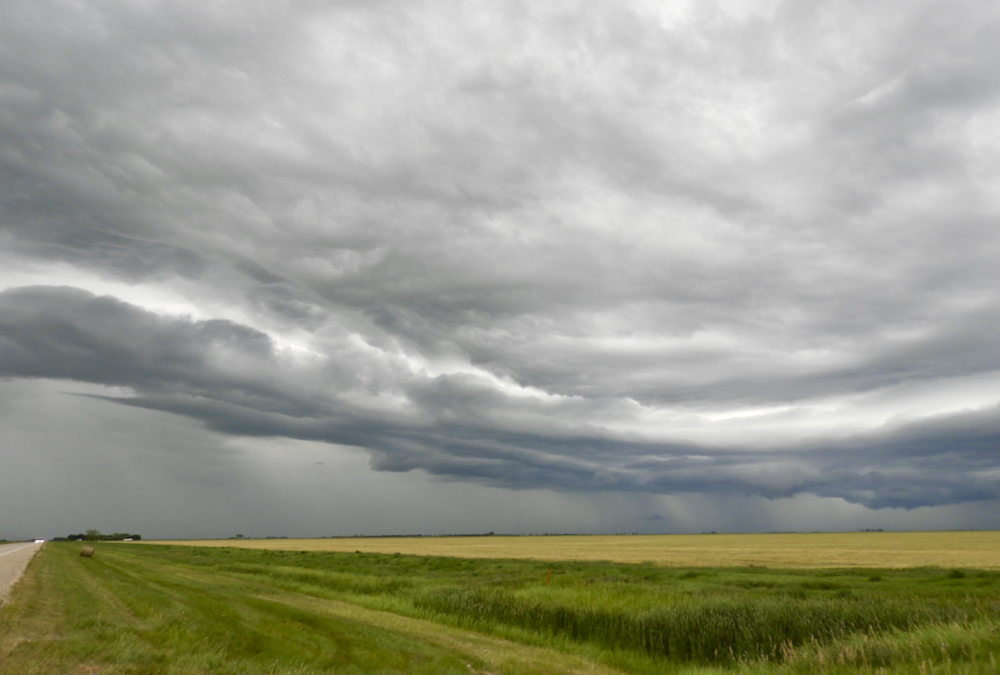 Canada is getting warmer and wetter, mostly in the winter and in the North, says the research lead with Agri-Food Economic Systems.