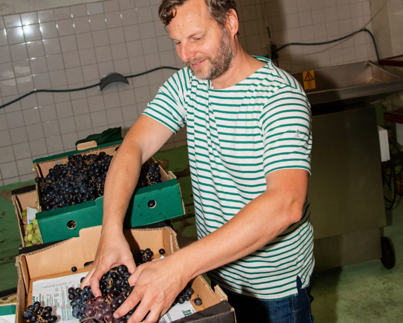 Rotterdam entrepreneur turns waste into wine