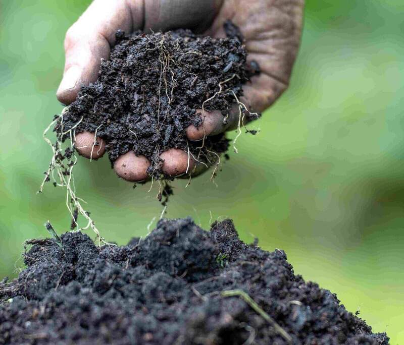 Soil Carbon Methodology rewards farmers for sustainable practices