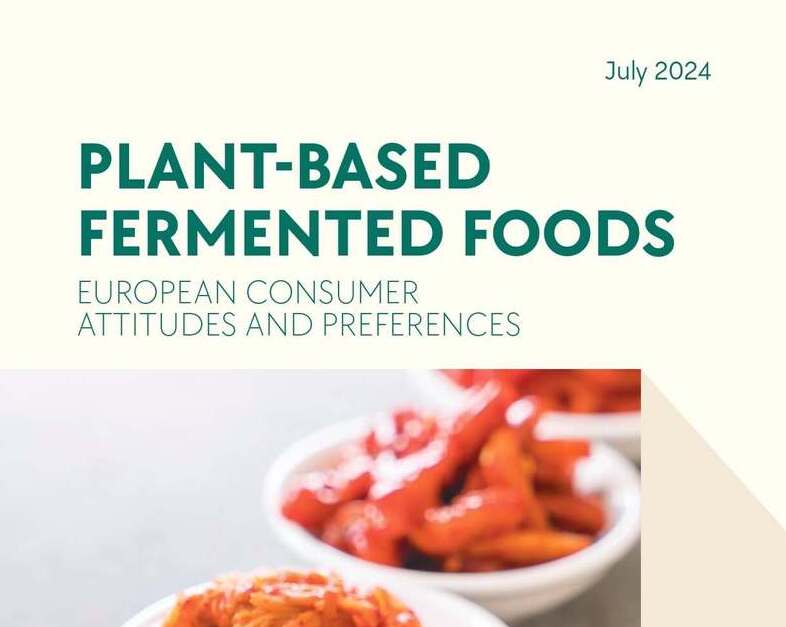 Swedish researchers provide guidance for developing plant-based fermented foods