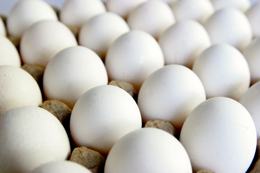 U.S. grocer Kroger wins dismissal of 'farm fresh' egg lawsuit