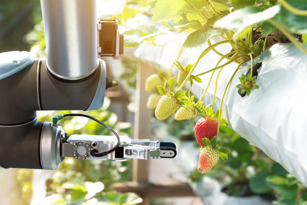 A third of agricultural jobs could be automated in next decade, report says