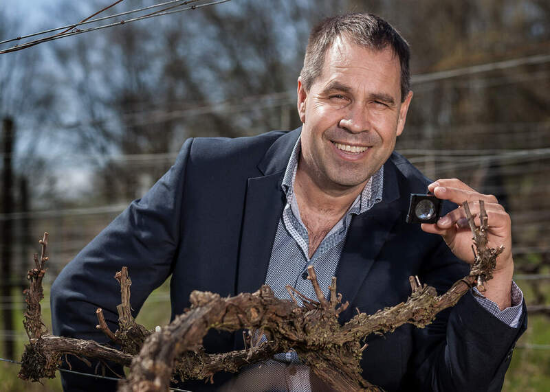 Campden BRI invests to support the development of domestic wine