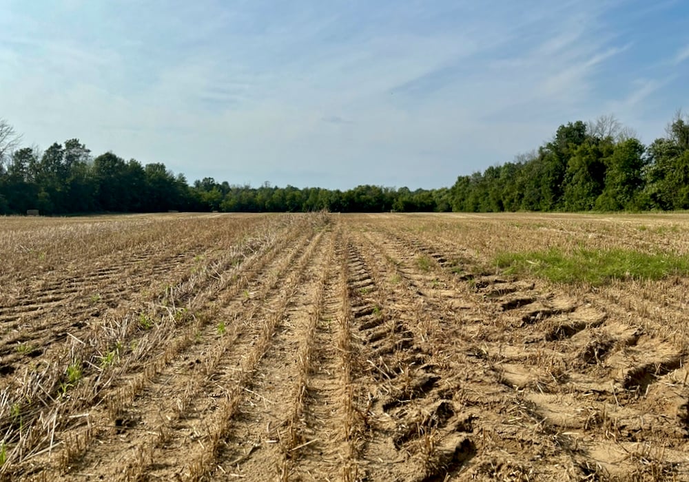 Ontario growers have many approaches to managing fields after they’ve been harvested and prior to winter.