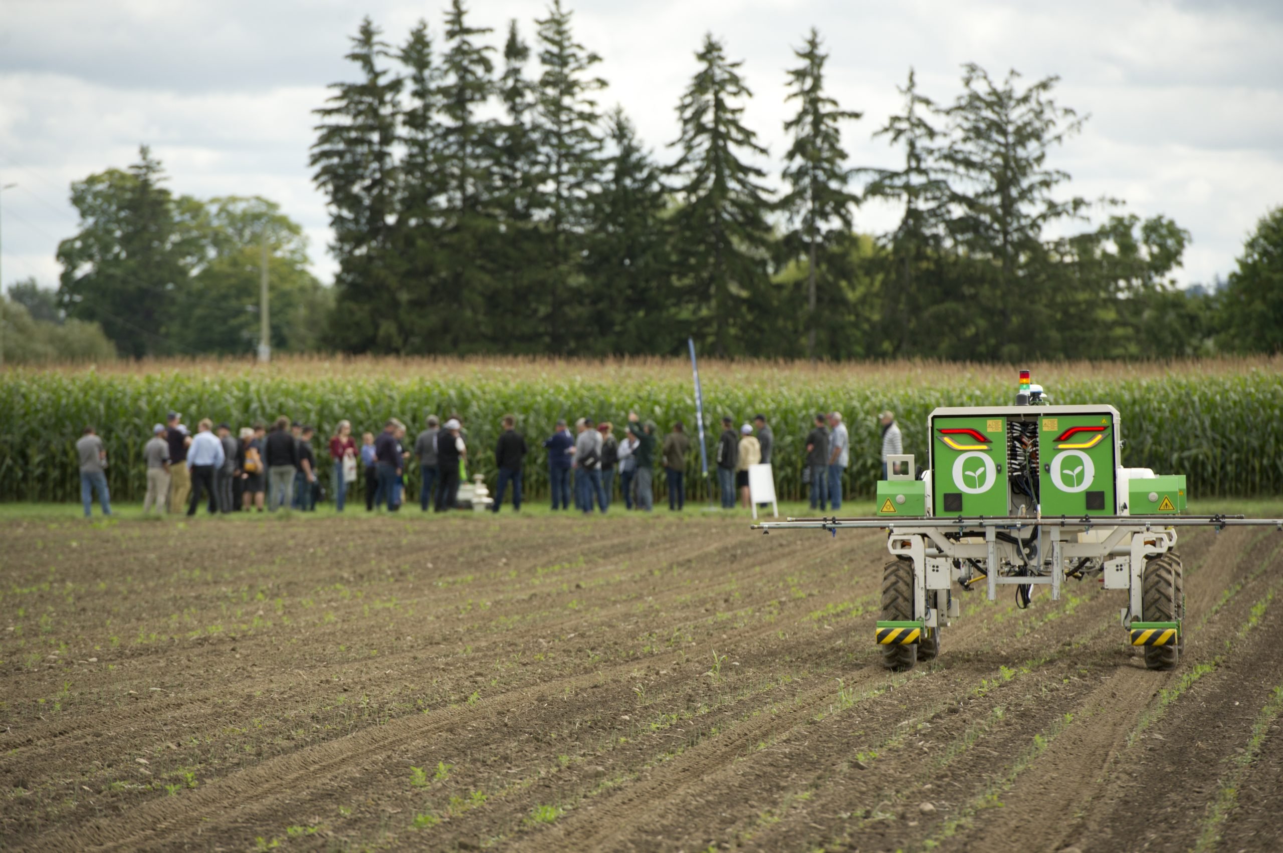 Federal funding to boost agri-tech and food companies in Southern Ontario